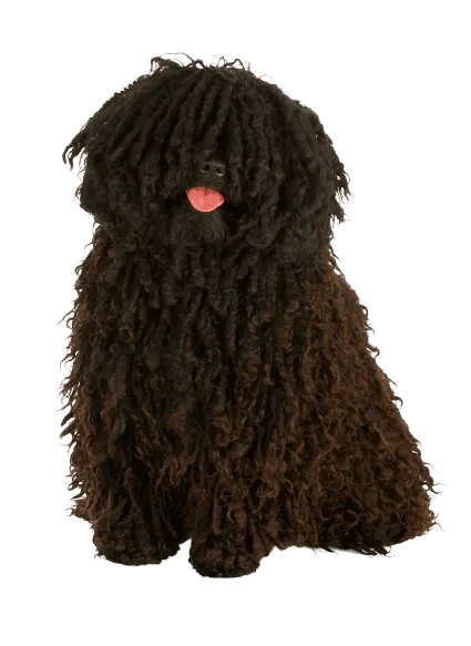 Puli (5)